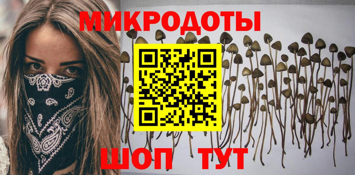 Орёл  Галлюциногенные грибы Cubensis  Вход с VPN 