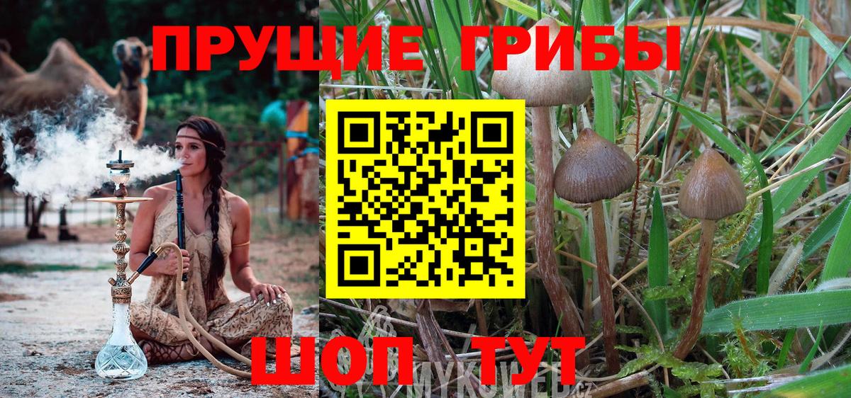 Галлюциногенные грибы ЛСД Орёл